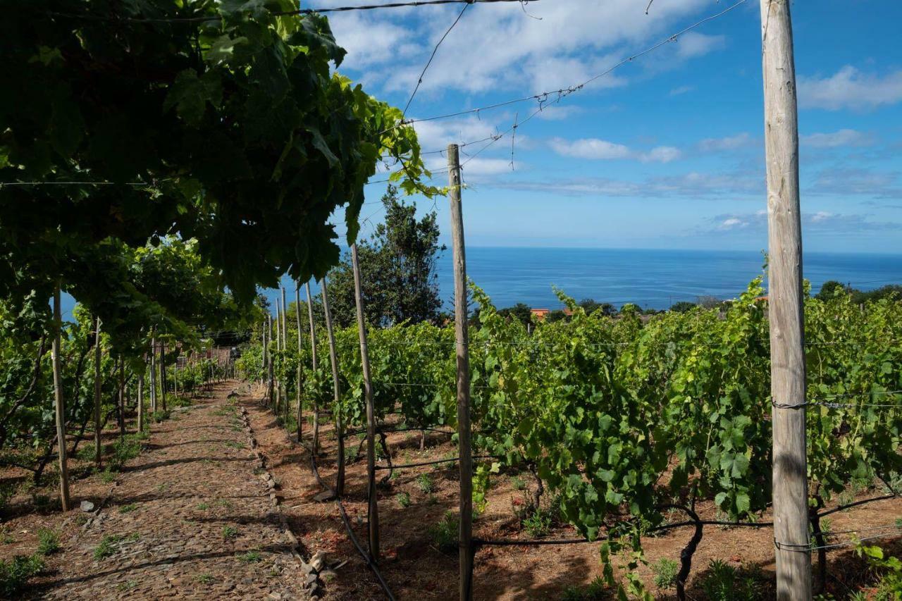 Quinta Das Vinhas Calheta  Dış mekan fotoğraf